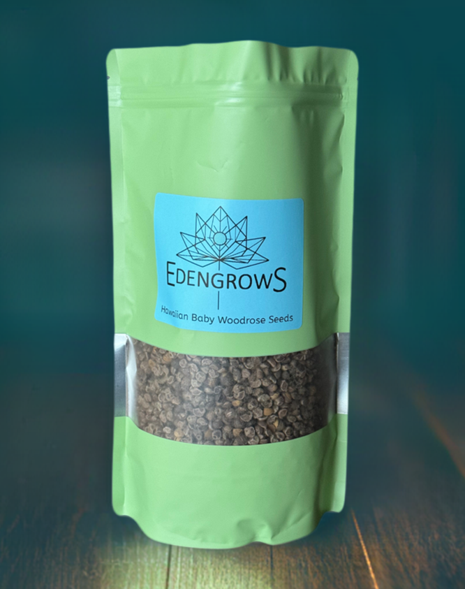 Hawaiian Baby Woodrose Seeds