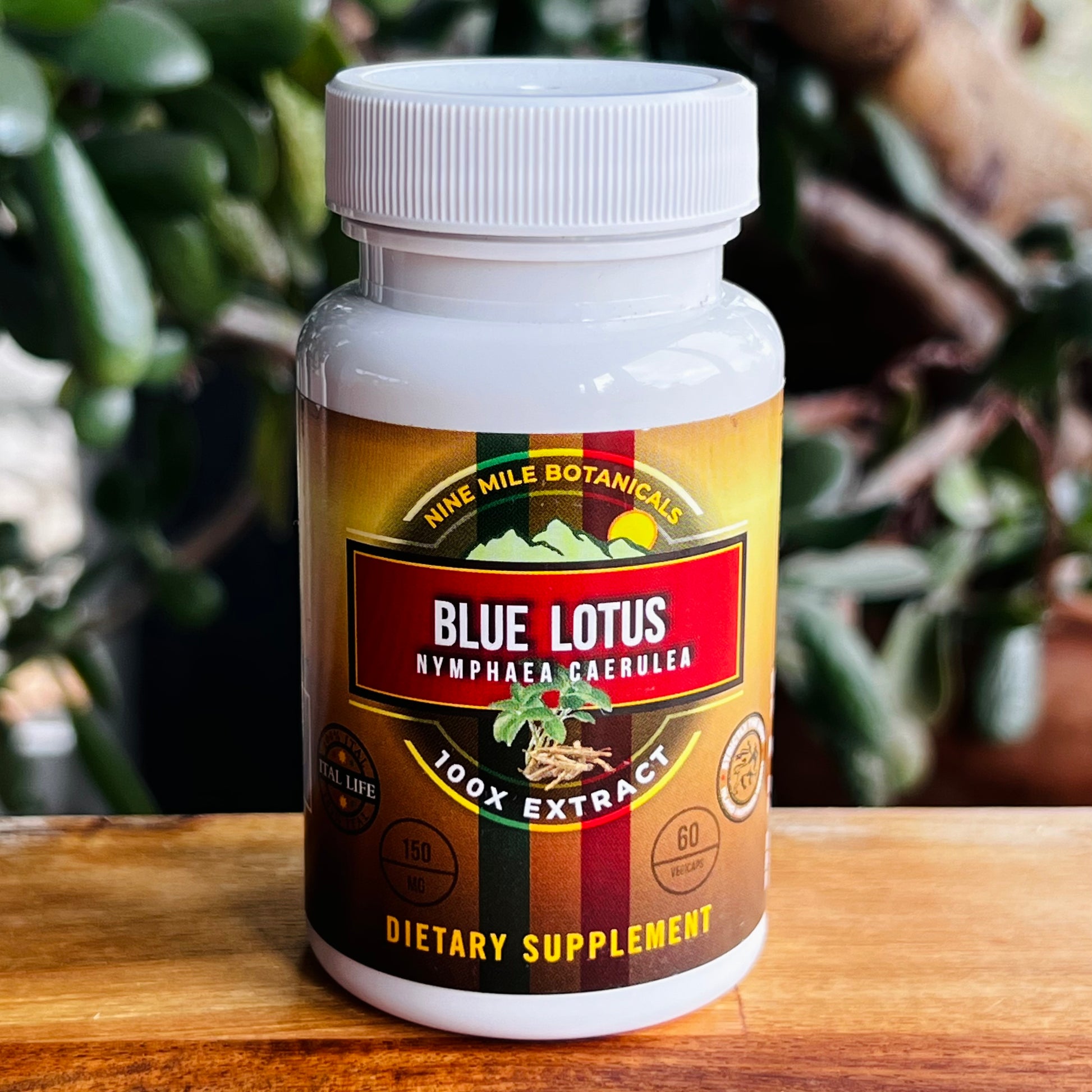buy blue lotus extract capsules