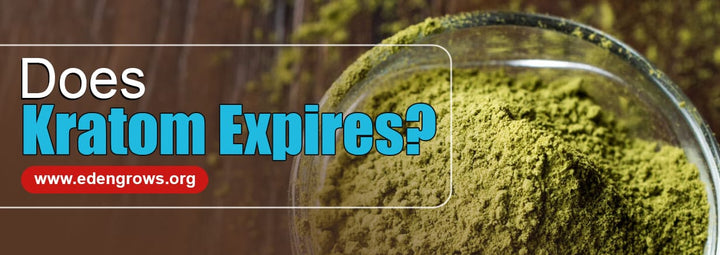 Does Kratom Expire and How to Store It Properly