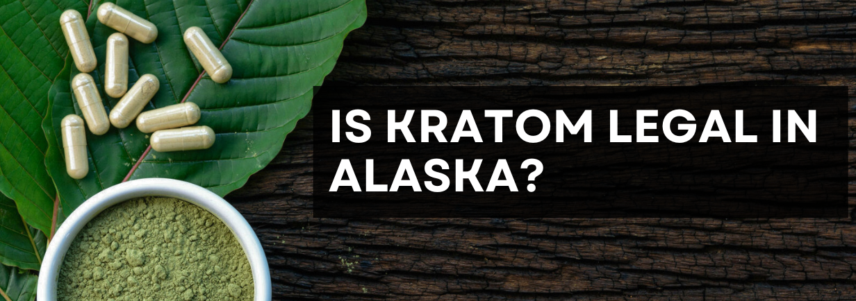 Understanding Kratom Legality In Alaska: An Update For 2024 – Edengrows