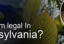 Legal Status of Kratom in Pennsylvania