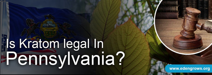 Legal Status of Kratom in Pennsylvania