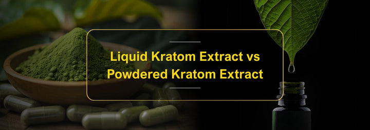 Liquid Kratom Extract vs Powdered Kratom Extract: What's the difference?