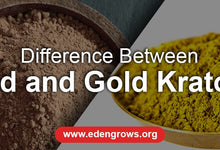 Red vs. Gold Kratom: Which One Is Right for You?