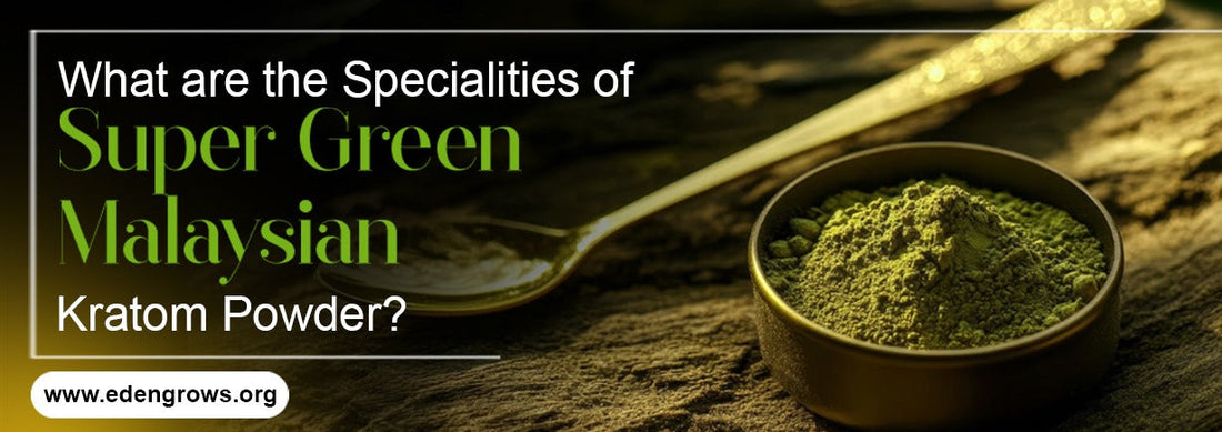 What are the Specialities of Super Green Malaysian Kratom Powder ?