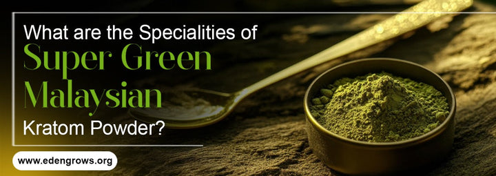 What are the Specialities of Super Green Malaysian Kratom Powder ?