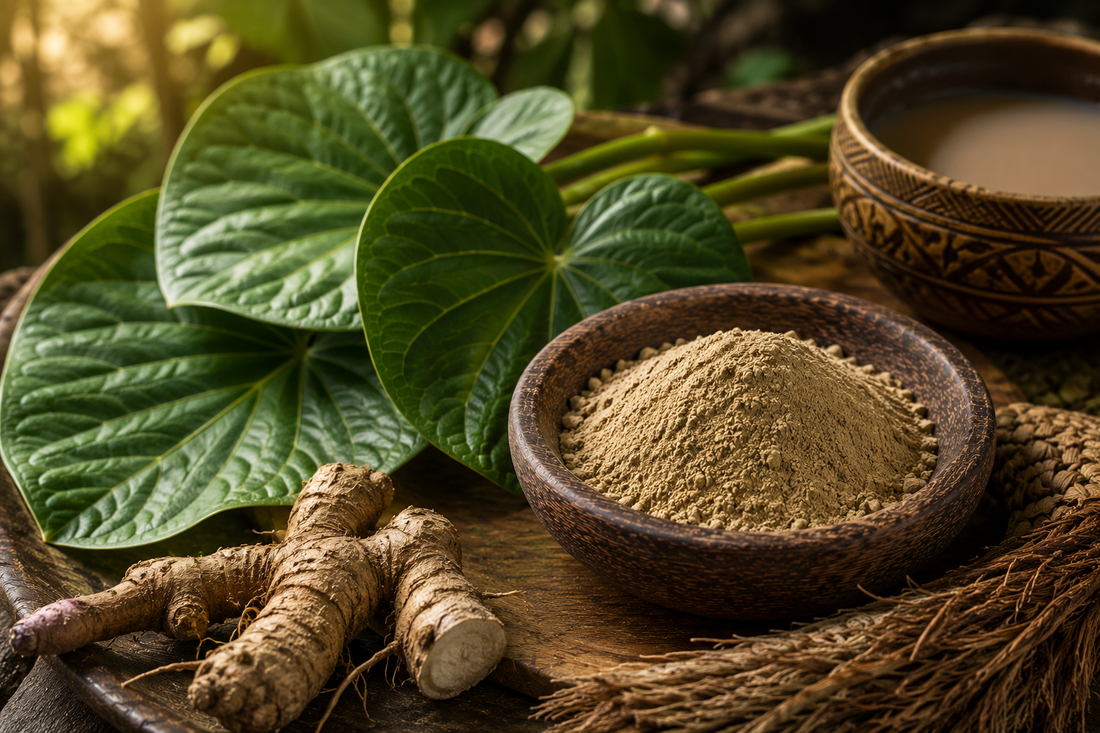 From Pacific Root to Botanical Icon: The Visual Story of Kava