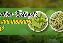 What are kratom extracts, and how do you measure the strength?