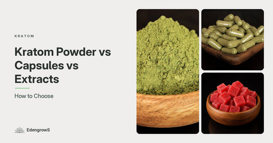 Kratom powder, capsules and extracts compared