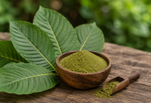 What Is Mitragyna Speciosa?