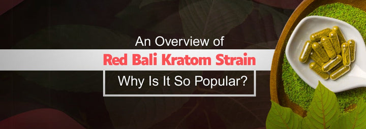 An Overview of Red Bali Kratom Strain: Why Is It So Popular?