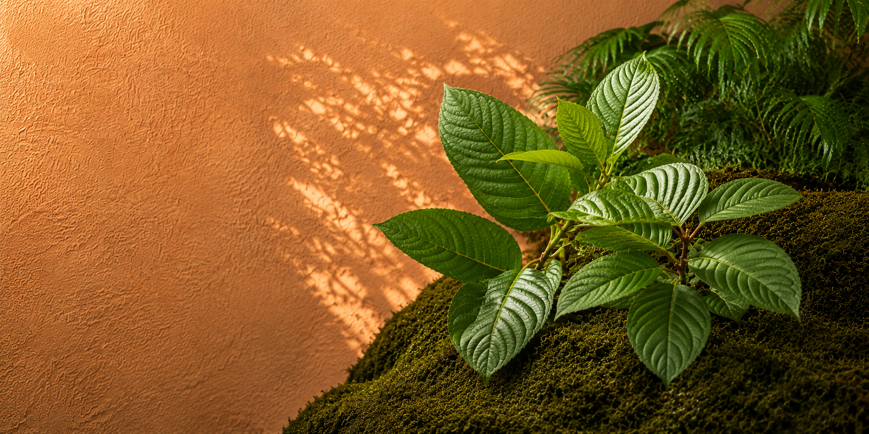 Kratom leaf powder and capsules