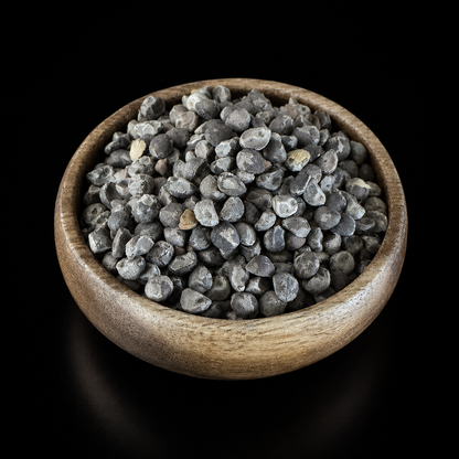 Hawaiian Baby Woodrose Seeds