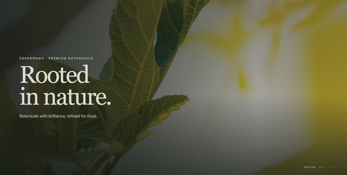Load video: Video thumbnail with green leaves and the text “Rooted in nature”